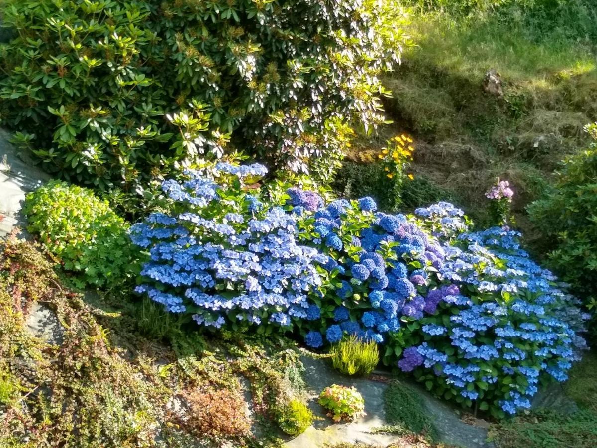 La Poultiere Les Hortensias מראה חיצוני תמונה